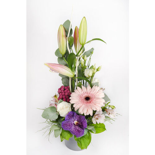 Composition en hauteur