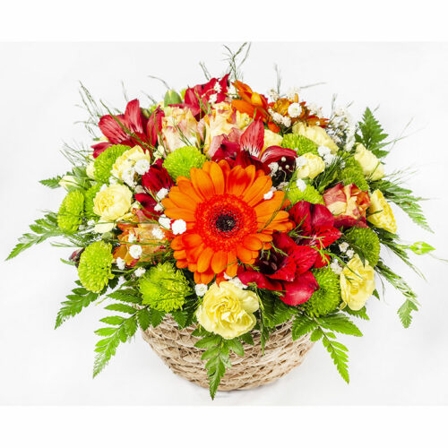 Composition ronde en Vannerie